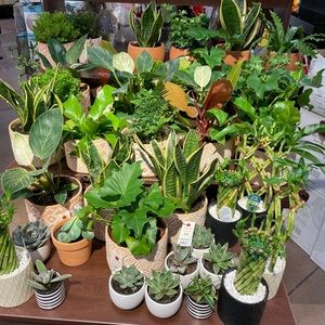 Meet your Posher, Thu